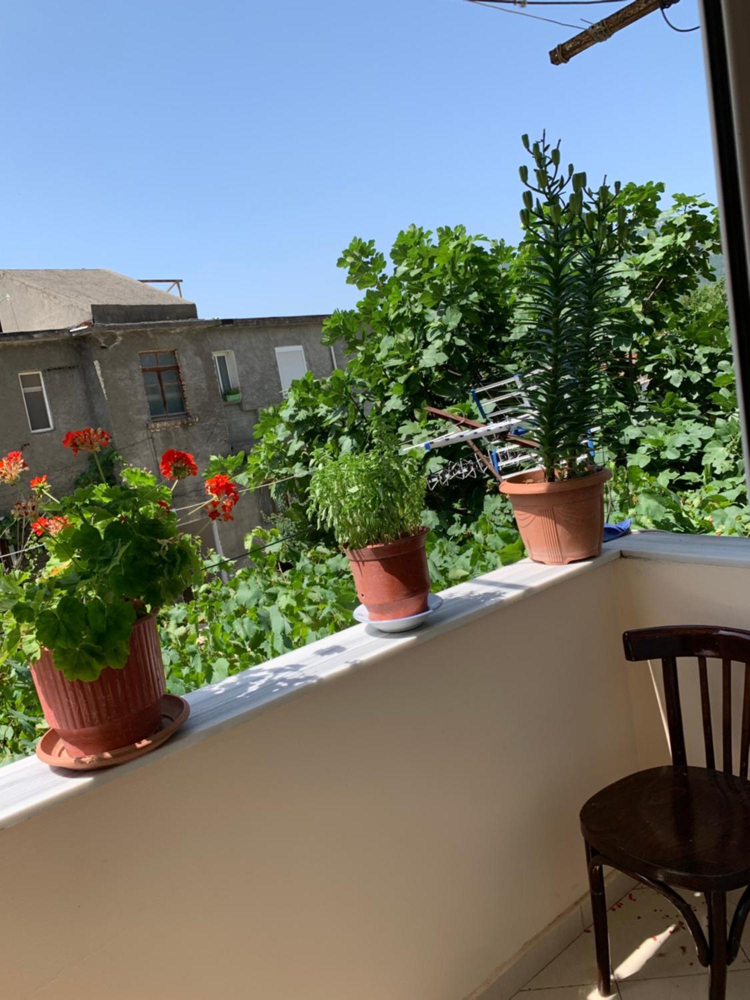 Guest House Dimos Kristi Permet Exterior photo