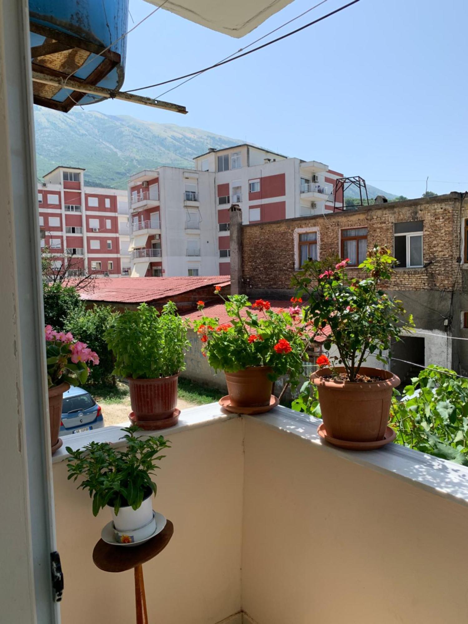 Guest House Dimos Kristi Permet Exterior photo