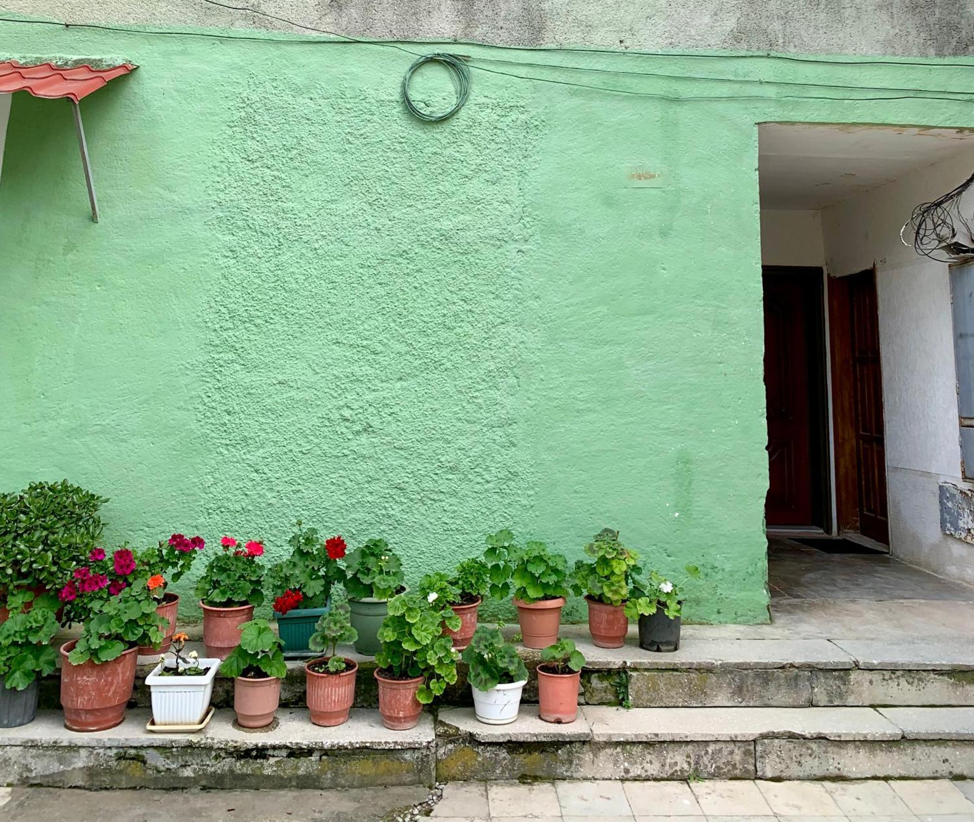 Guest House Dimos Kristi Permet Exterior photo